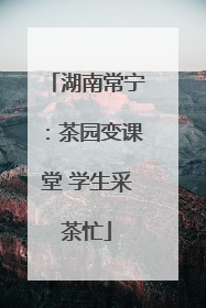 湖南常宁：茶园变课堂 学生采茶忙